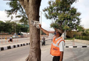 ORRCA Traffic team removing nails, posters, pins, name boards from trees